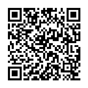 而岸上犹自在苦撑的女真军马则是士气骤然而跌二维码生成