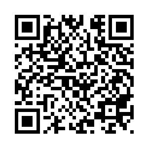 而巨阳仙尊却没有太好的办法阻止二维码生成