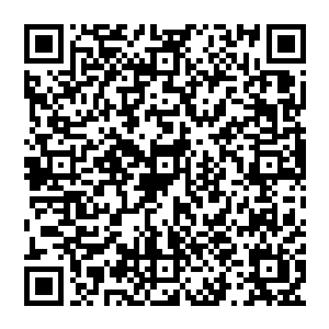 而已经从琴瑟色处得知那半球只是能检测出一个生命的基本来历以及按照检测提示的评估费用二维码生成