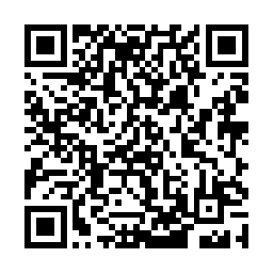 而已经迷迷糊糊睡着的两个小孩被嘈杂声闹得一翻身二维码生成