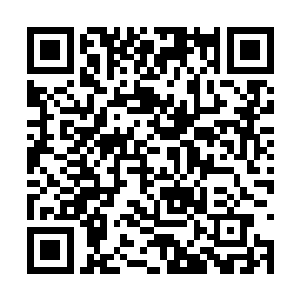 而巴克看见的情况就跟那些影视剧里面的僵尸一样二维码生成