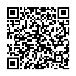 而市委内部的酝酿沟通也进入了即将揭晓的阶段二维码生成