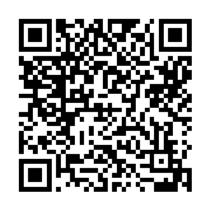 而布鲁诺和欧阳靖他们都第一时间领悟到了丁羽的意思二维码生成
