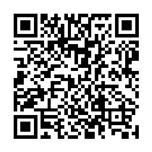 而带来的这些人有不少都是陈珊原来的手下或者是同事二维码生成