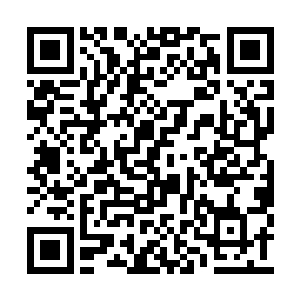 而幽冥之门随之化为一头极为凶恶的地狱双头犬二维码生成