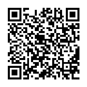 而底下被抓的所有人无不瞪着眼睛对着东方浩然破口大骂二维码生成