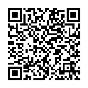 而康哥也在这一场战况中看出来了国际杀手真正的实力二维码生成