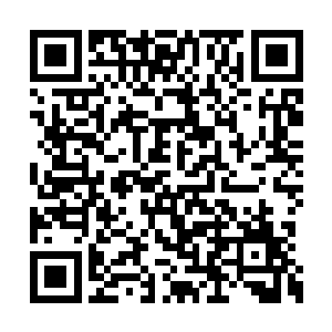 而弃总杀人则很容易……但凡正面硬接过他招式二维码生成