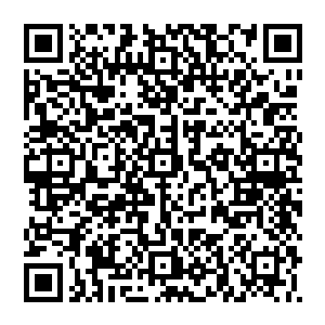 而张阳也在心中一个个都把这些年因为商业竞争和各种利益纠纷与张家和金乌商团有恩怨的家族豪门等过了一遍二维码生成