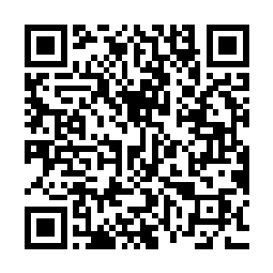 而弱小的生物则会发展出更多更杂的食物链条以及相的消化能力二维码生成