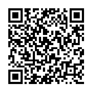 而当乔远帆带着陈之山的孩子陈锋和陈兰找到他二维码生成