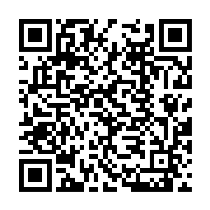 而当周围传来惊呼声的时候郝晨才意识危机降临了二维码生成