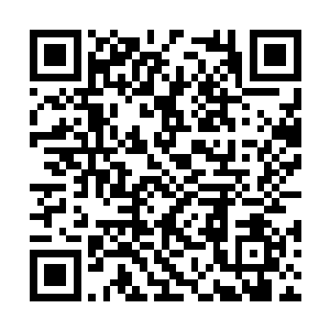 而当我从佣兵团中册封了十六位骑士的消息传出后二维码生成