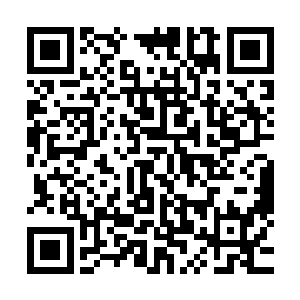 而当时主动提出将收益提到三成的少年则红着眼睛坐在另一边二维码生成