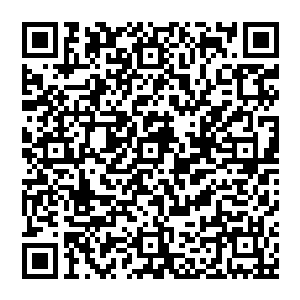 而当时LH与WE战队打败的还是当时OGN联赛排名第二第三的KT战队与KOO战队还有当时的北美第一战队TSM二维码生成