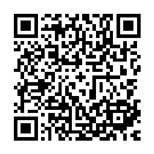 而当沈凡祭出抱阳转劫法典的力量时妙音老祖整个人都尖叫一声二维码生成