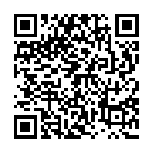 而当知道灭掉向族的是那让人人都忌惮的天下第一大帮时二维码生成