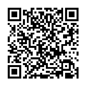 而当苏婉看到右边人群中为首的一名三十来岁的女子时二维码生成