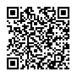 而往下跳着的胖子本来以为这个洞再深也不过是数米二维码生成