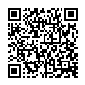 而德川佳子及其手下的两个保镖对周狼的话却是将信将疑二维码生成