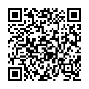 而恰恰那老家伙的药院中丢失过一株极品赤血草二维码生成