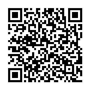 而惊吓过度的苏洛看到突然将自己搂住的人是天道时二维码生成