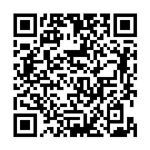 而想要在这药尊界真正的感悟药尊当年所证道的天道意志二维码生成