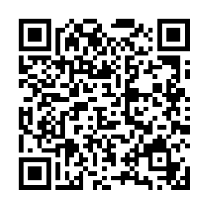 而慢了流墨墨他们一步的琴瑟色只走到师丝桐的另一边二维码生成