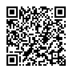 而慢了雪如楼一步的众人见他们说完话了才飞落了下来二维码生成