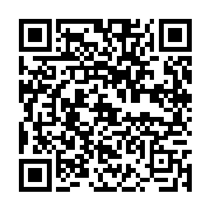 而成长最终也是为了工资所有的情怀都凝聚了起来二维码生成