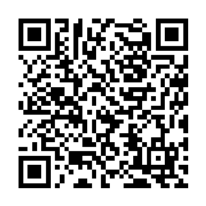 而我也是不知所措的站在那里――裴元修召我进宫二维码生成