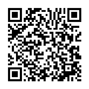 而我们也会因为帮助联盟开拓了全新的版图而得到嘉奖二维码生成