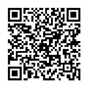 而我们四面八方的能量云因为失去了社稷图的控制二维码生成