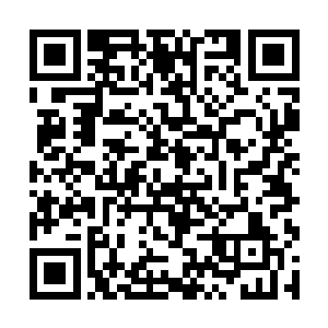 而我们就像个缩头乌龟一样呆在这里一辈子都不出山二维码生成