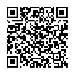 而我们的文明则是沙滩上一座用沙砾堆砌的高塔二维码生成