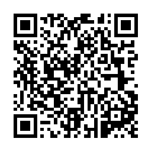 而我周围这一片山谷都变成了一个混乱的洪荒世界二维码生成