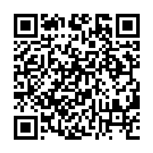 而我在作为见证律师帮助费德勒先生制订遗嘱的时候二维码生成