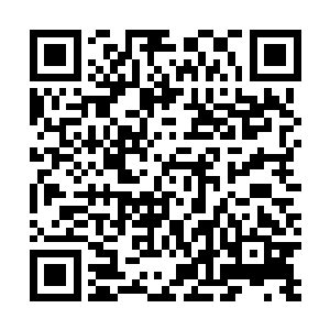 而我如今结交的那些关系谁敢保证自己将来一定不会出事二维码生成