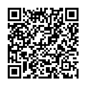 而我孙伯符麾下的霸王军比之当年项藉所领的楚军二维码生成