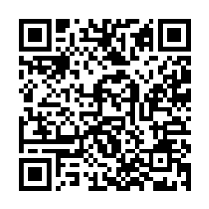 而我必须表示出我的受宠若惊――没想到在这一切后二维码生成