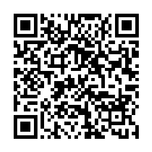 而我猜你改变态度的原因是你实在很担心我会在重压下二维码生成