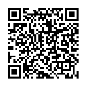 而我现在开始就要开始适应一个真正的灵异恐怖世界二维码生成