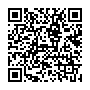 而我现在打算请太阳系公司来为我们提供安保服务二维码生成