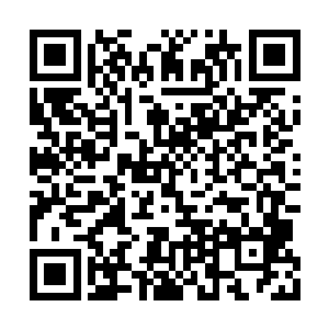 而我的本体强度在这场对决中就更没有任何优势二维码生成