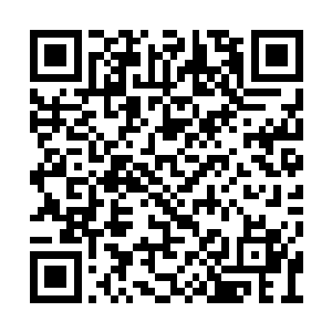 而我这一叫却见周亮脸上又加了十道黑色的印记二维码生成