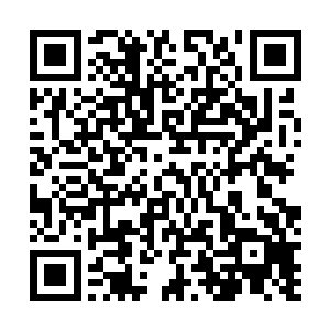 而所得的信息都是这简简单单的图像似乎包含了诸多玄奥二维码生成