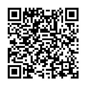 而所有人族人看到这一幕脸上全都露出了激动之色二维码生成