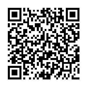 而所有的变化都是在这光向着四周延伸的一瞬间完成二维码生成
