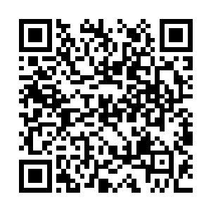 而所有的圣级大修士却是进入了庄园内的议事大殿二维码生成