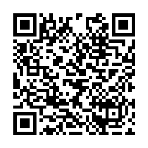 而所有被吸入大阵中的元气在经过大阵的转换之后二维码生成